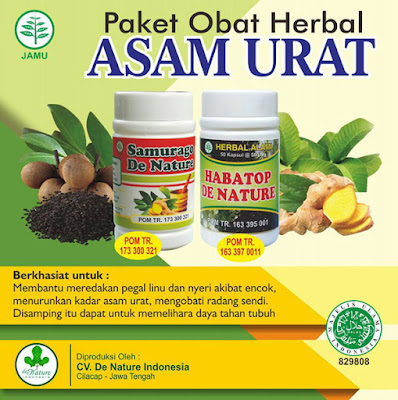 Obat Rematik dan Asam Urat