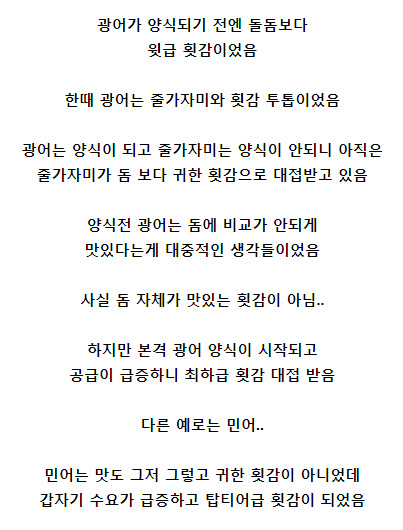 광어의 진실