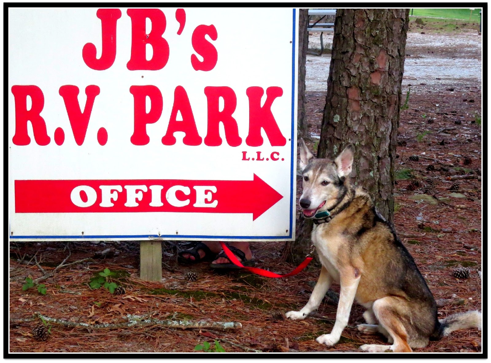 Staying at JB's RV Park MostlyLost