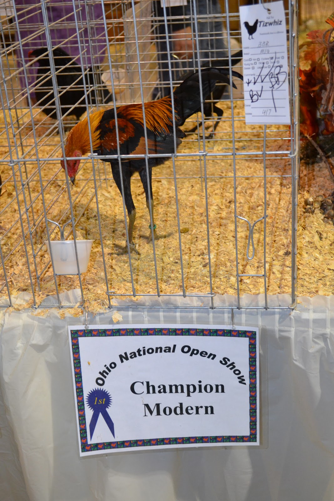 Ohio National Poultry Show Ohio National Winner Photos