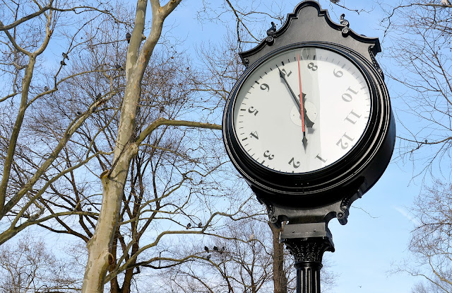 clock, black, white, trees, central park, new york, manhattan, america, usa, nyc, time, birds, sky, january, 2016, 
