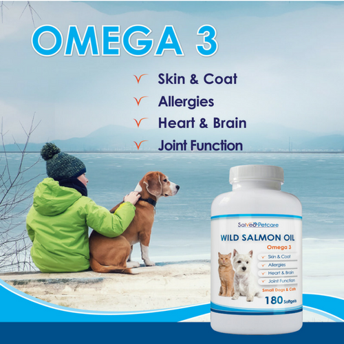 Dogs Luv Us and We Luv Them CAN OMEGA 3 SUPPLEMENTS IMPROVE DOG HEALTH?
