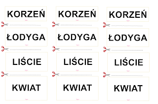 Boberkowy World : Wiosna w ogrodzie- konspekty na cały tydzień i pomoce