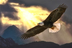 eagles soaring soar eagle wings god rise hope jungle strength lord lift those storm storms shadow bird isaiah mount shall