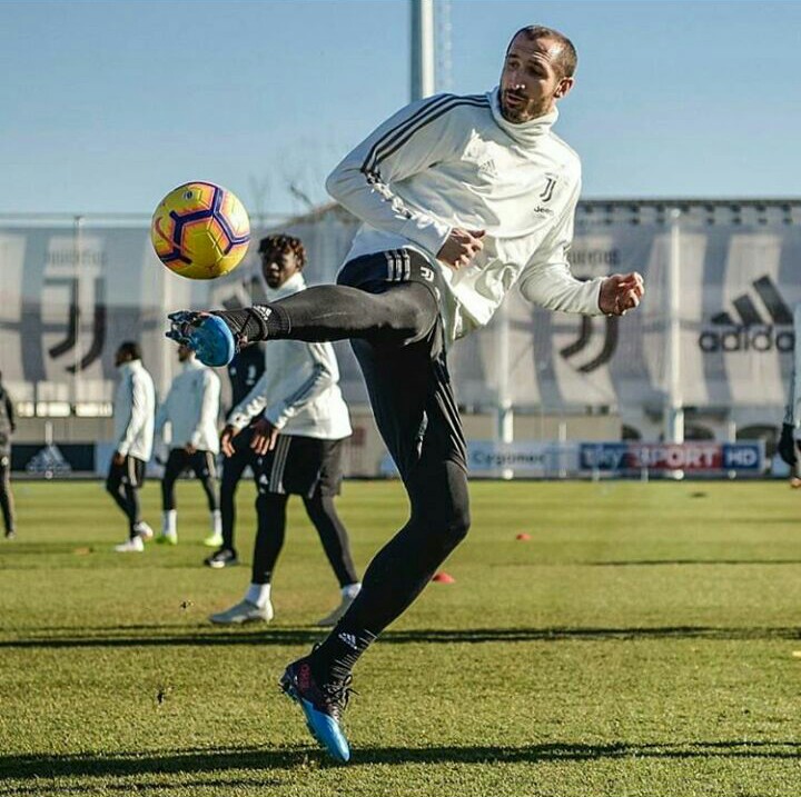 Current Best 12 Defenders in the World NZDWORLD