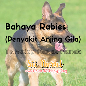 Bahaya Rabies (Penyakit Anjing Gila) Terhadap Kanak-Kanak