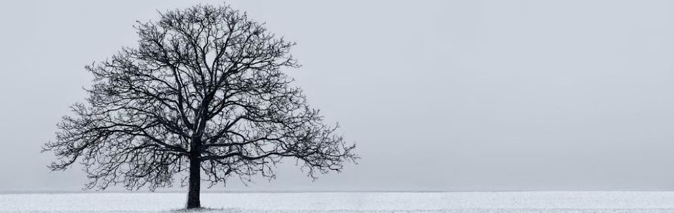 ΑΔΙΑΒΑΣΤΟΙ