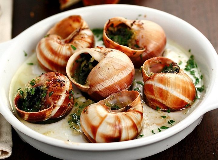 exotic food recipes & other gastronomic delights escargot