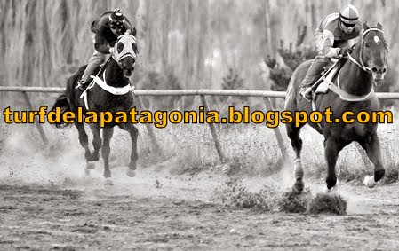 http://turfdelapatagonia.blogspot.com.ar/2014/05/2505-resultados-de-carreras-de-caballos.html