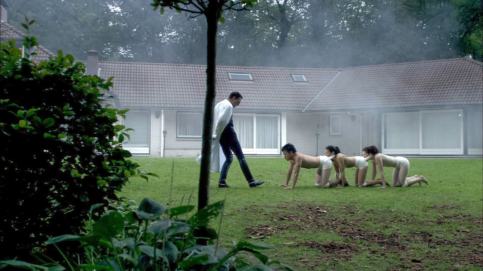 The human centipede (first sequence) (2009) .