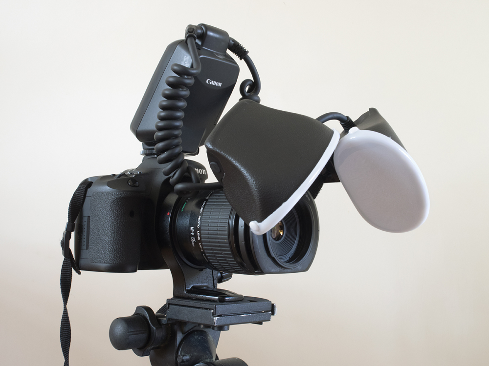 Matt Cole Macro Photography Macro Flash Diffusion (again)