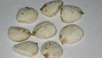 Nuez de la india sirve para adelgazar