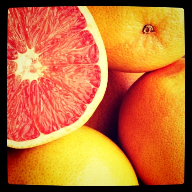 Proper Produce Storage Guide Grapefruit HarvestMarket Coop