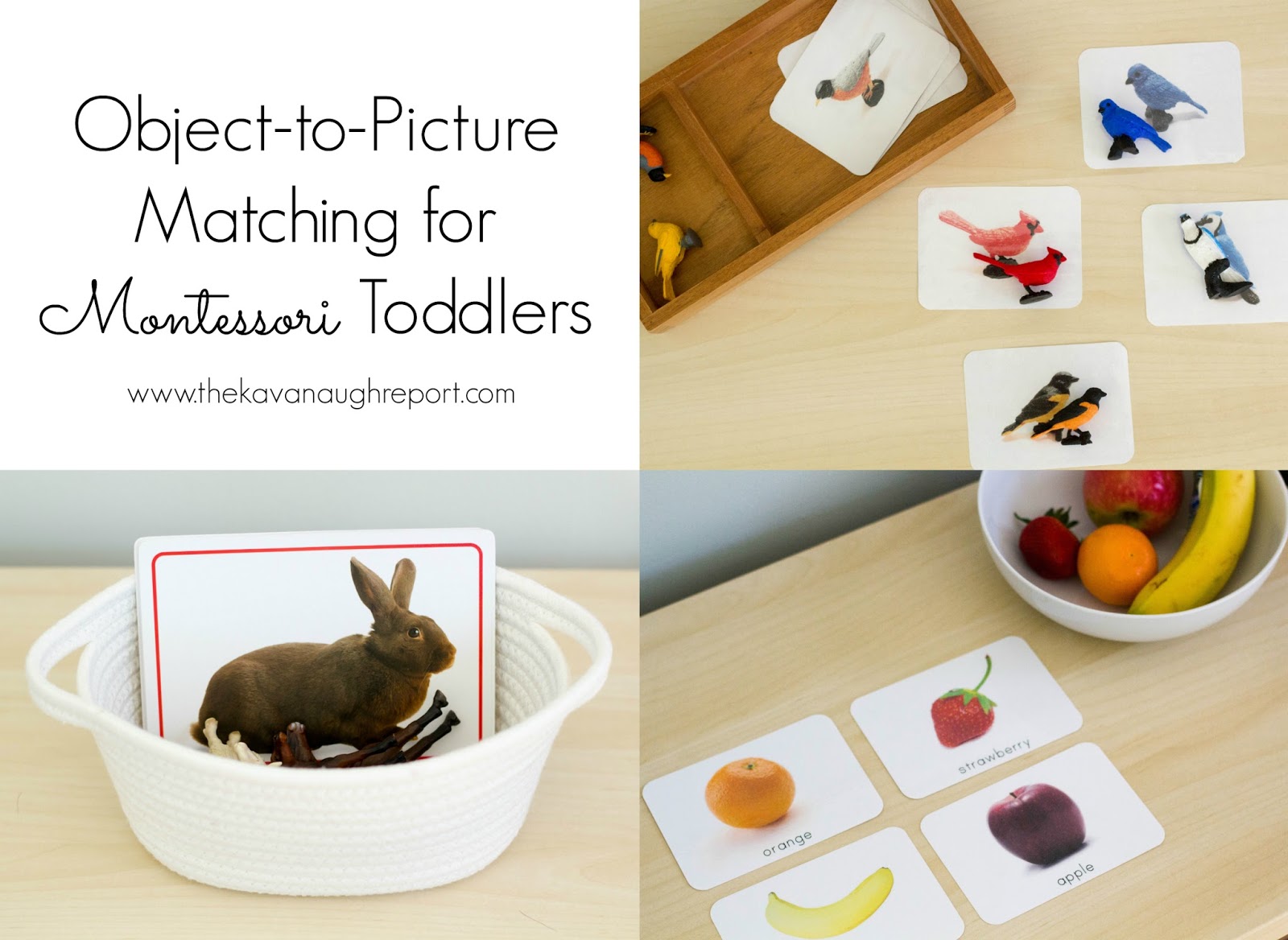 ObjecttoPicture Matching for Montessori Toddlers