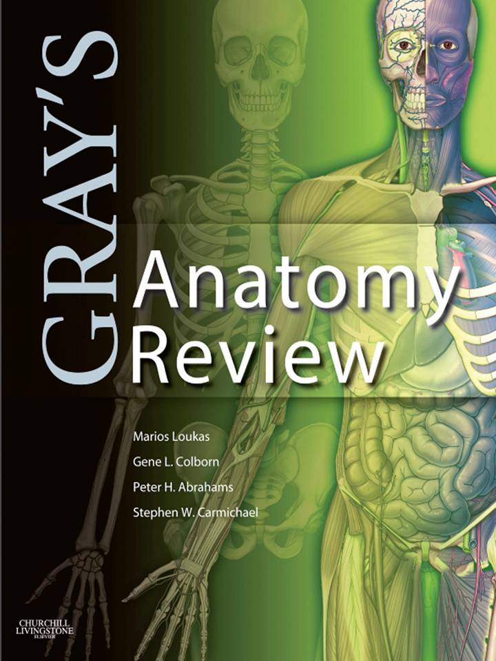 Gray's Anatomy Review EBook 1st Edition Medical Yukti