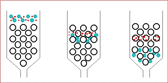 Bio-Resource: Gel Filtration Chromatography (GF) / Size Exclusion