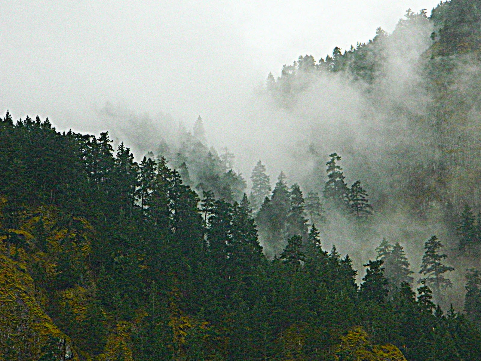 Photos By Lex: Fog Defining the Mountains In Columbia ...
