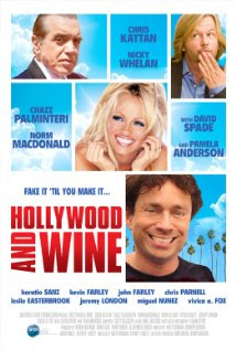 Free Download Movie Hollywood & Wine (2010)