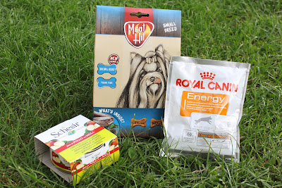 Meat Hit Skin & Coat, Royal Canin Energy oraz karma mokra Schesir - recenzja