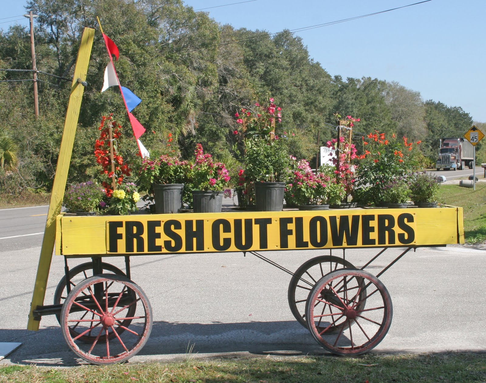 Jim Long's Columns Farmers Markets in the Ozarks