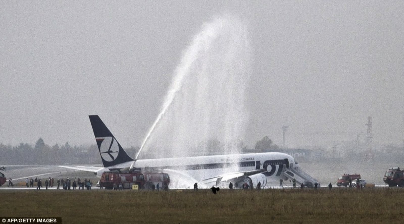 Boeing 767 lot crash landing. Самолёт стоит в Варшаве на газоне.