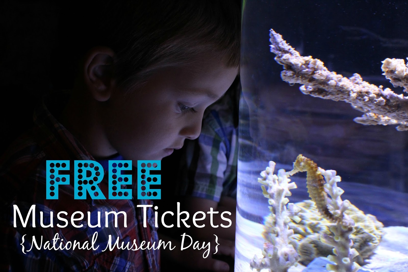 The Unlikely Homeschool FREE Museum Tickets for all National Museum Day