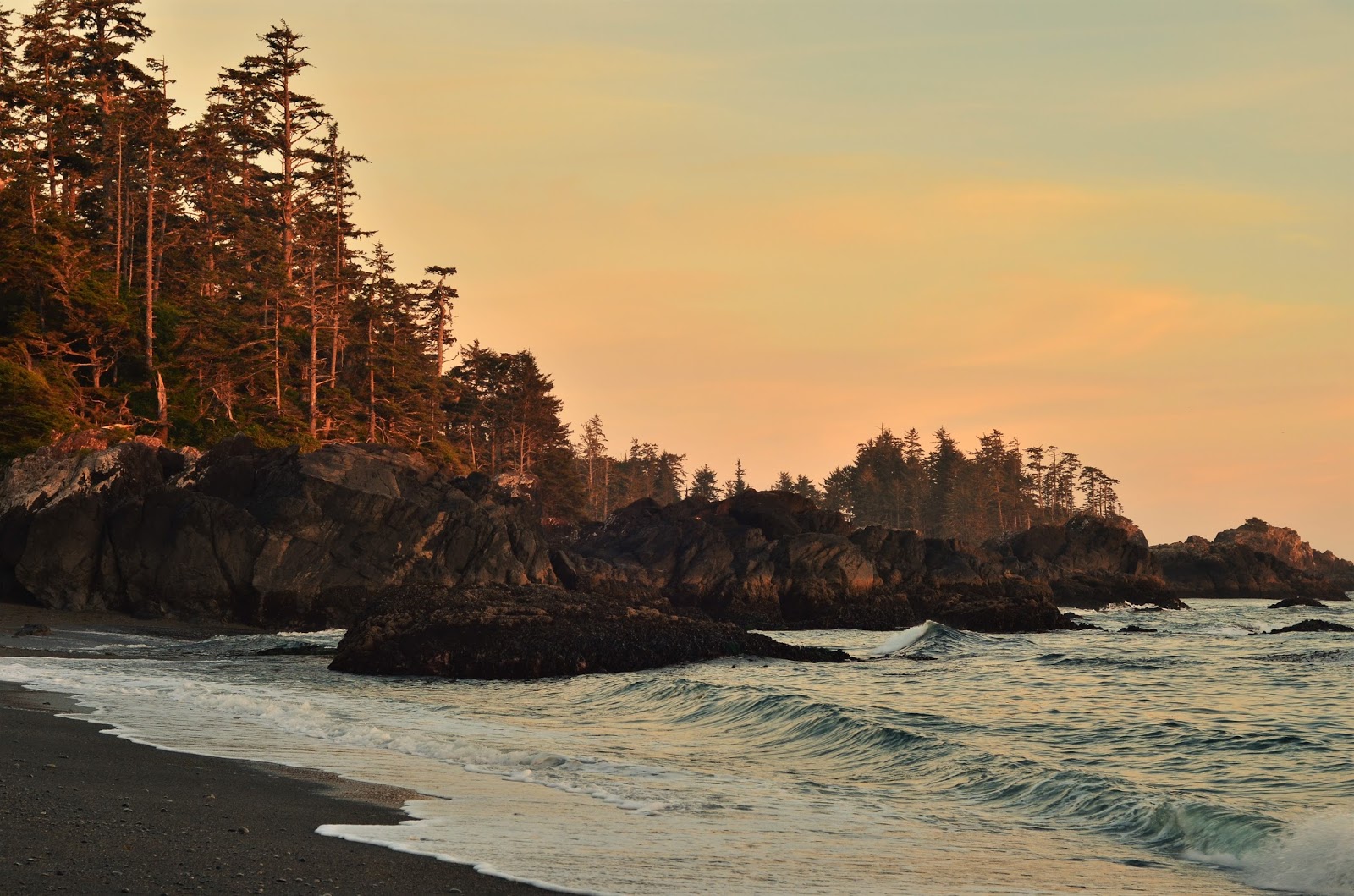 Walking on the Wild Side in Ucluelet, BC Play Outside Guide