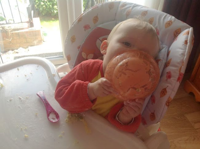 baby in highchair licking plate