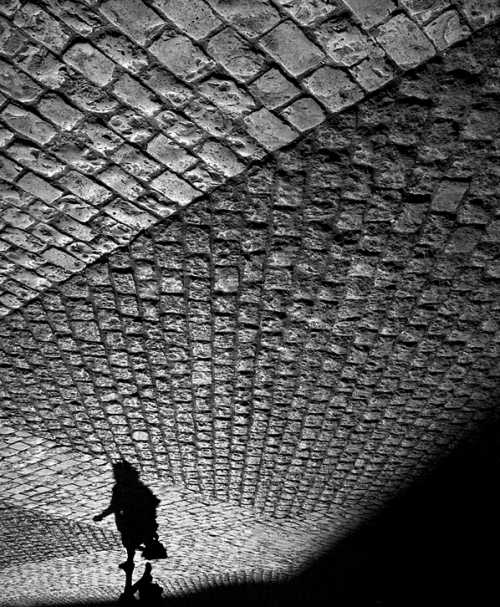 profesyonel fotografcilik