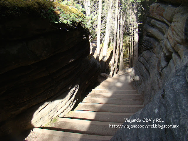 Ice fields Parkway. Canadian Rockies. Viajando ODV y RCL  http://viajandoodvyrcl.blogspot.mx