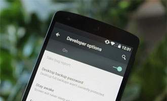 Cara Memunculkan Menu Opsi Pengembang di Pengaturan Android