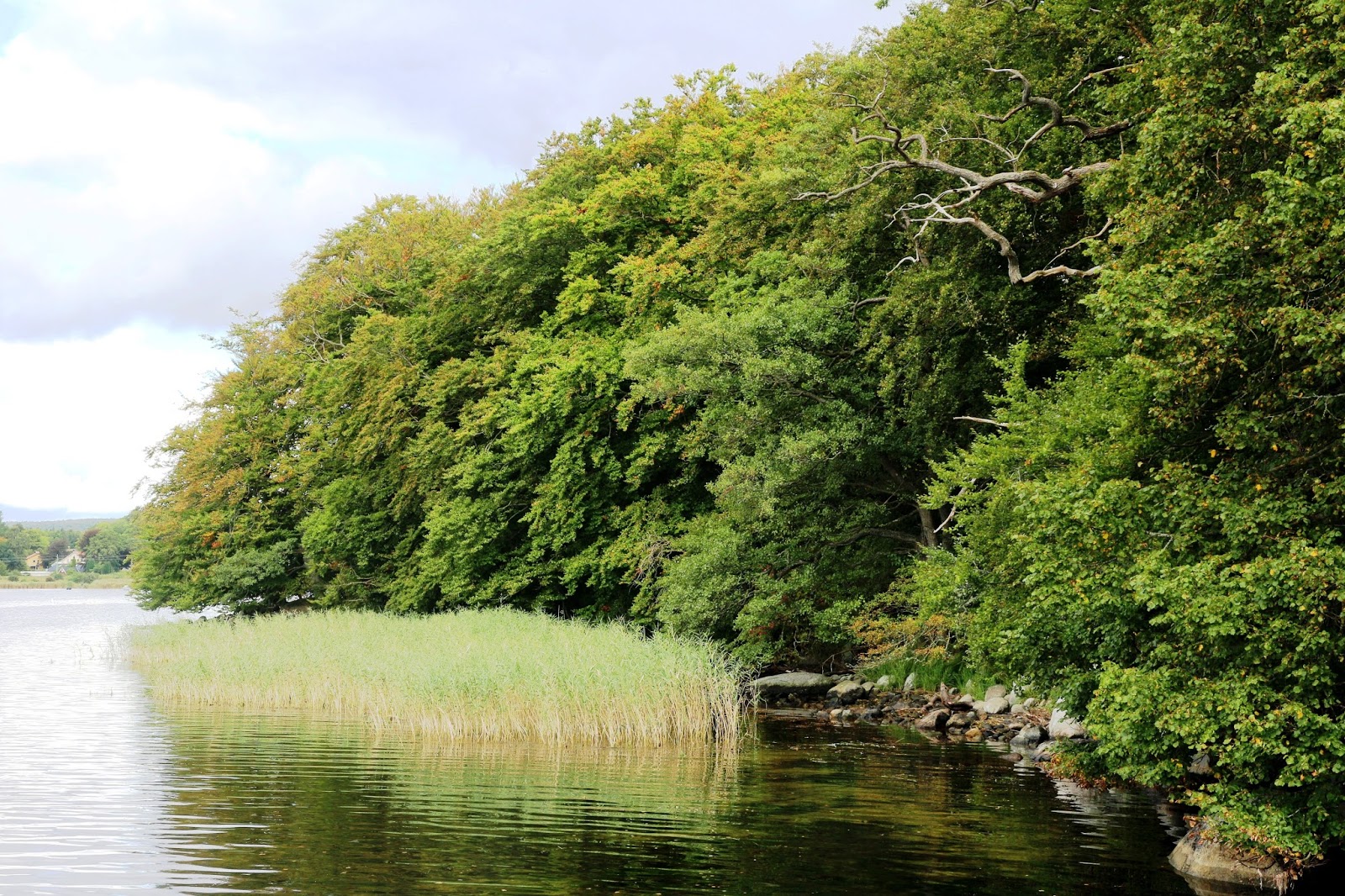 MOSSA Trädgårdsmästeri & Design: Valje Halvö - naturreservat för att ...