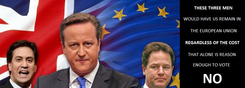 Cameron Referendum Banner