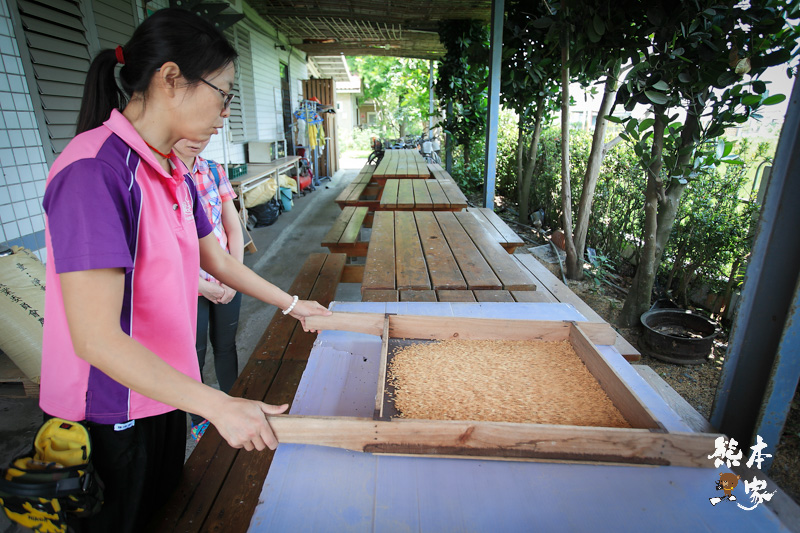 餵魚喝ㄋㄟㄋㄟ、碾米、拔蔥做蔥油餅|宜蘭親子農場DIY活動、童話村生態農場親子活動