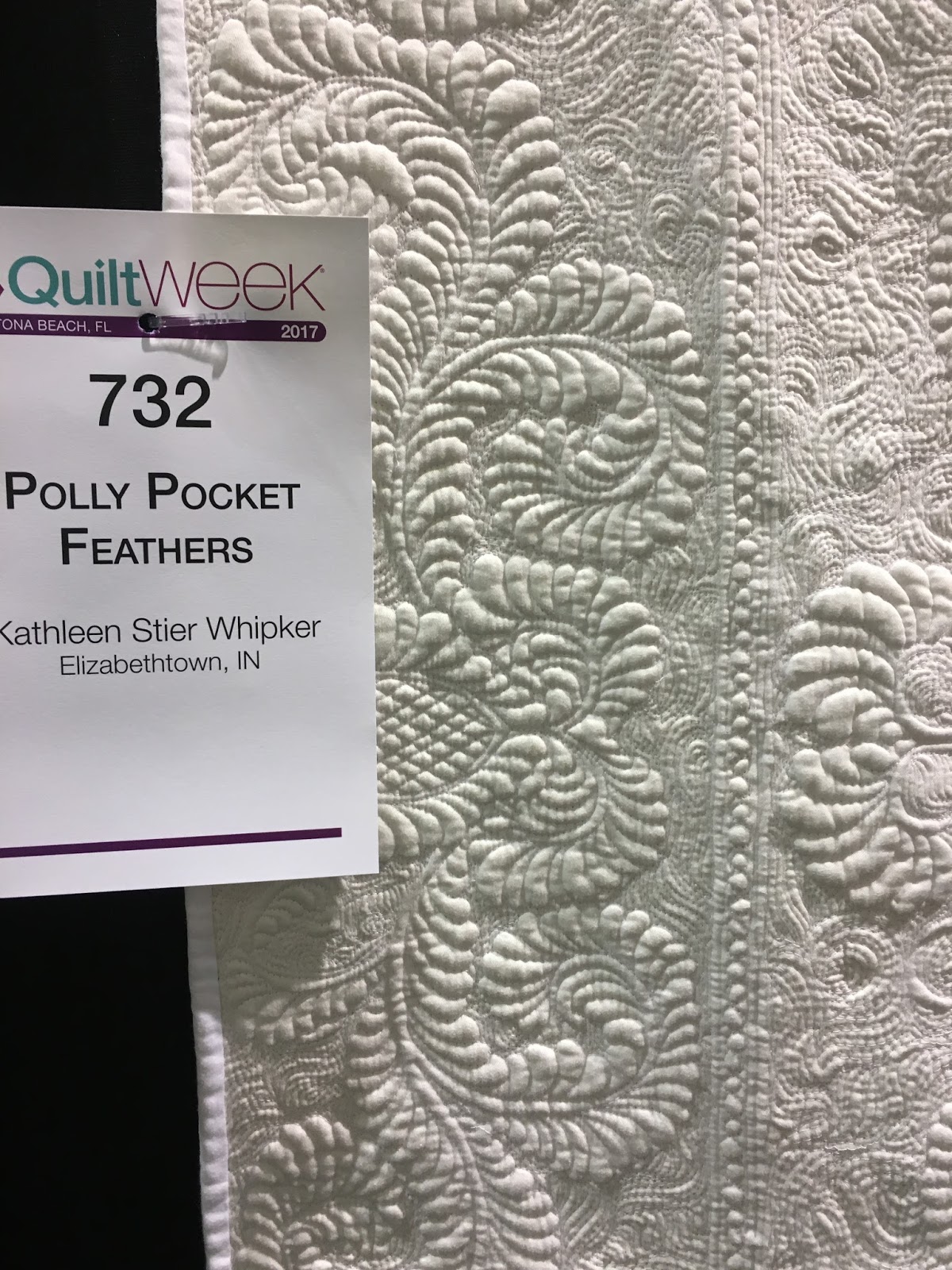 Blooming In Chintz My Patterns and AQS Daytona Show