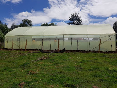 Wooden greenhouses and metallic greenhouse prices in Kenya.