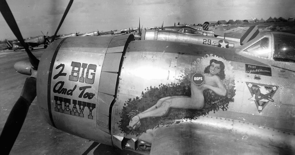 Jet & Prop by FalkeEins 2 Big and Too Heavy 318th FG, 7th AF P47 N