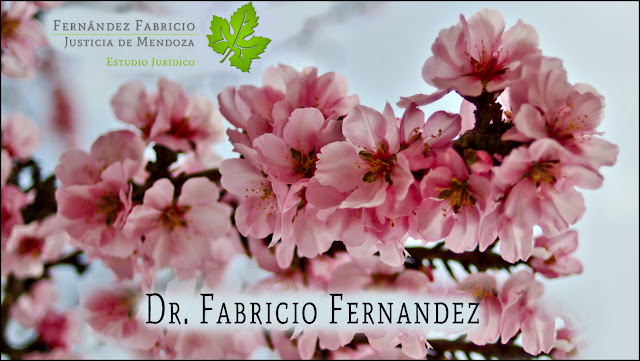 Estudio Jurídico Dr. Fabricio Fernandez.  Abogado de Mendoza
