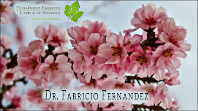 Estudio Jurídico Dr. Fabricio Fernandez.  Abogado de Mendoza