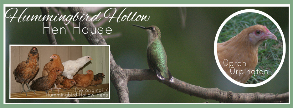 Hummingbird Hollow Hen House