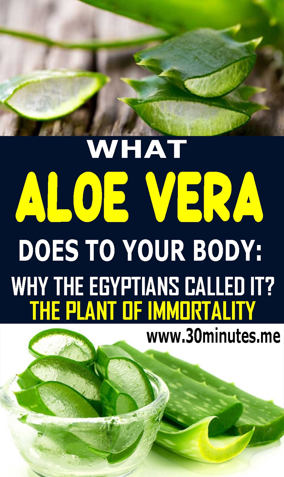 What Aloe Vera Does To Your Body Why The Egyptians Called it The Plant