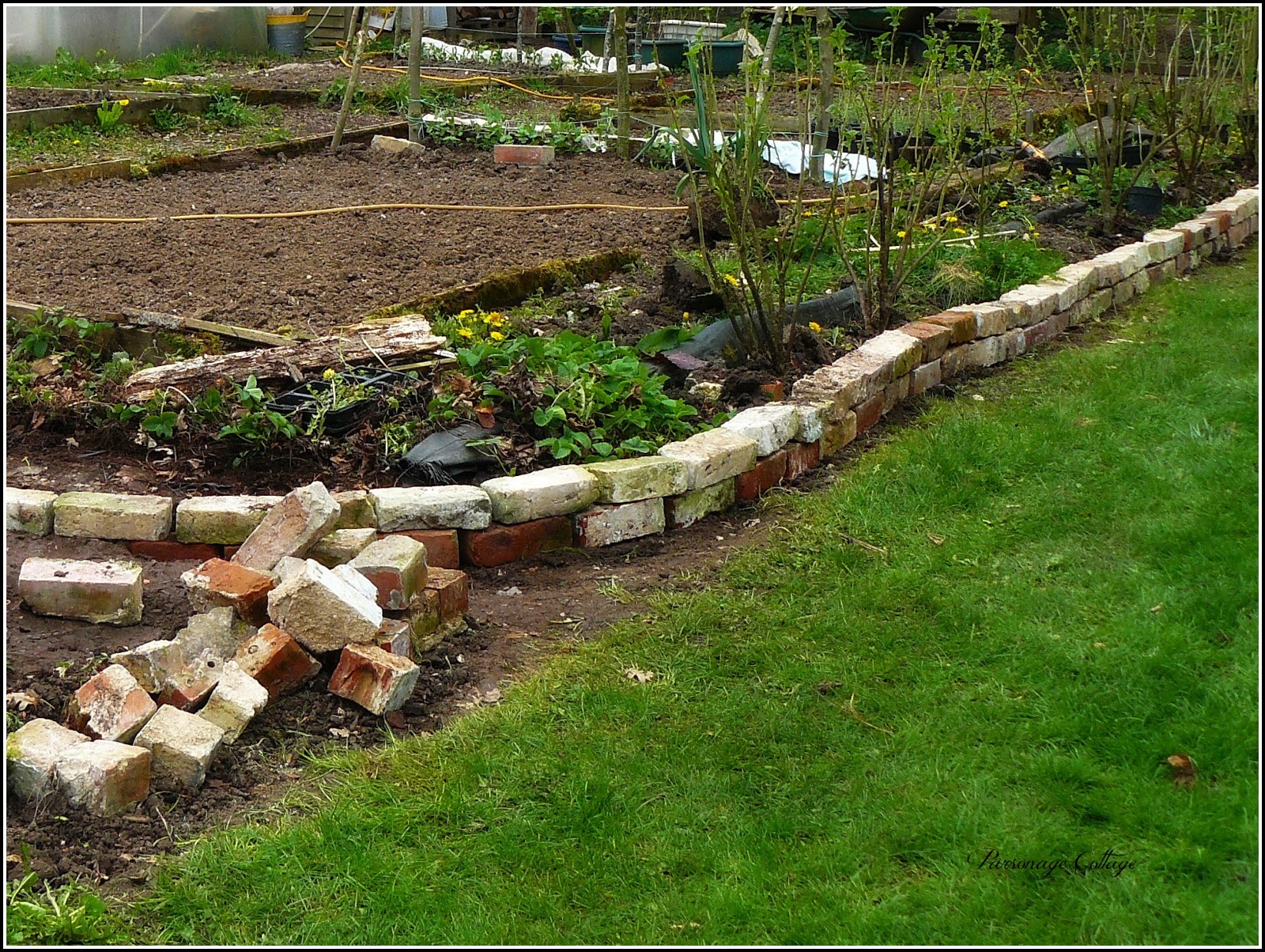 Tales from Parsonage Cottage Discovering the Queen's Hoard