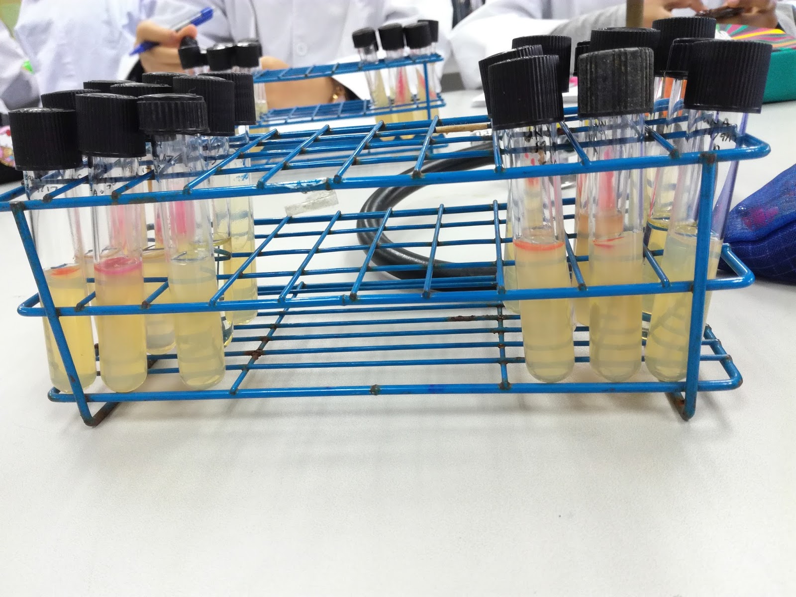 THE FIRST EXPERIMENT