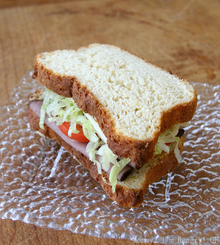 MIH Recipe Blog Gluten Free Sandwich Bread