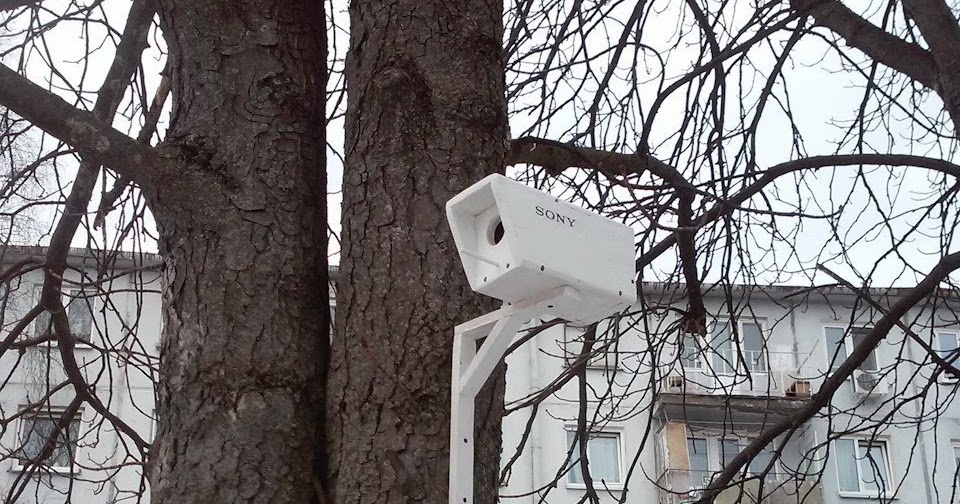 DIY Modern birdhouse security cameras Creative DIY