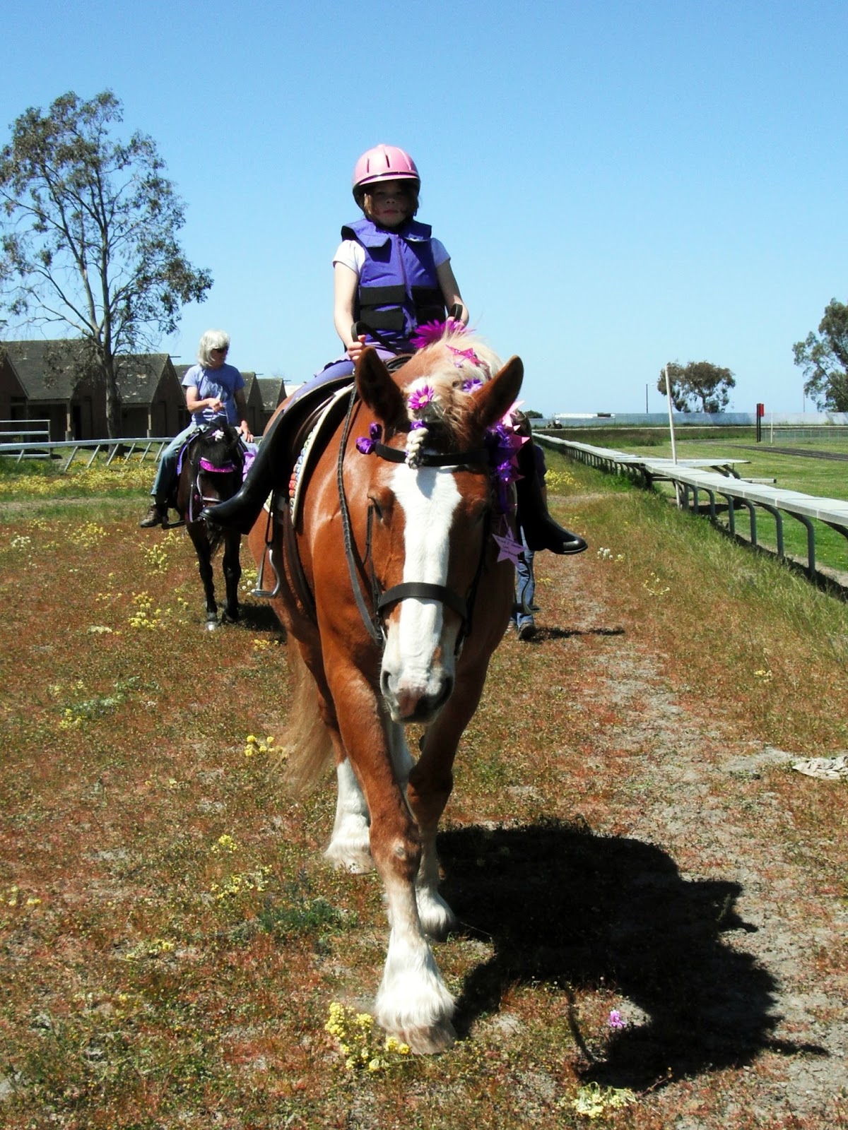 Jackson Hill Horsey Girl 2013 Hero Ride For Life