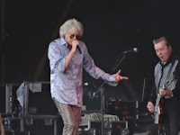 Bob Geldof at Latitude 2015