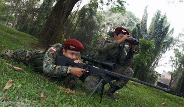 Senapan Sniper Buatan PT Pindad - Bandung - Indonesia | produksianakbangsa
