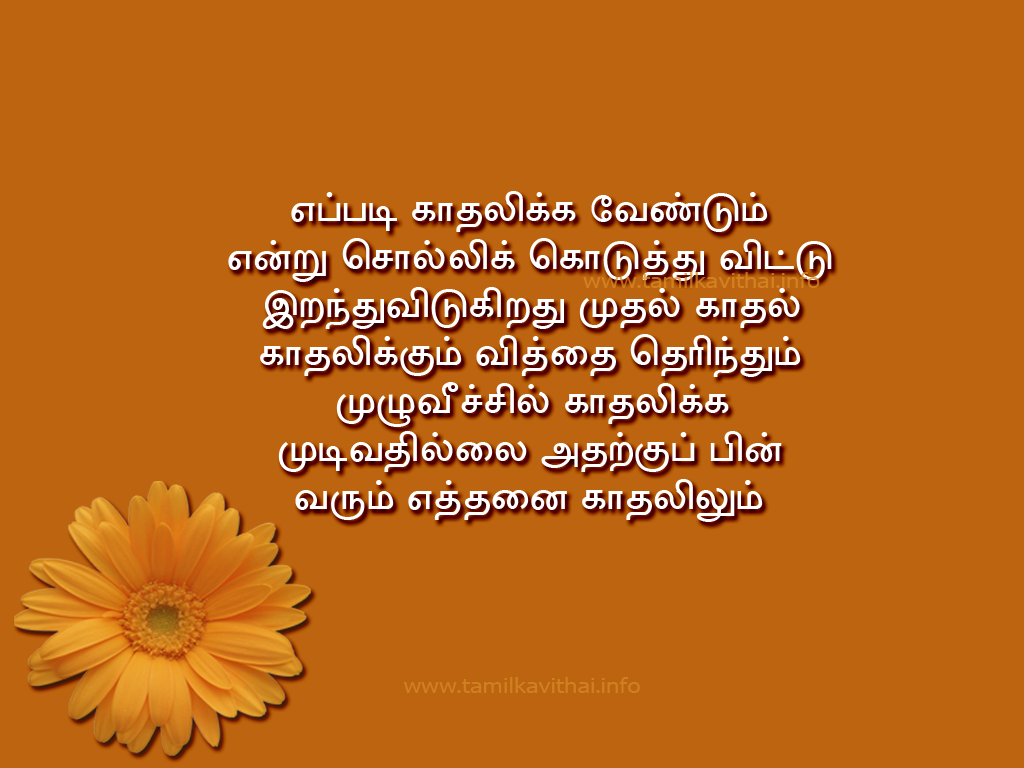 love kavithai tamil kavithai love kavithai tamil kavithai