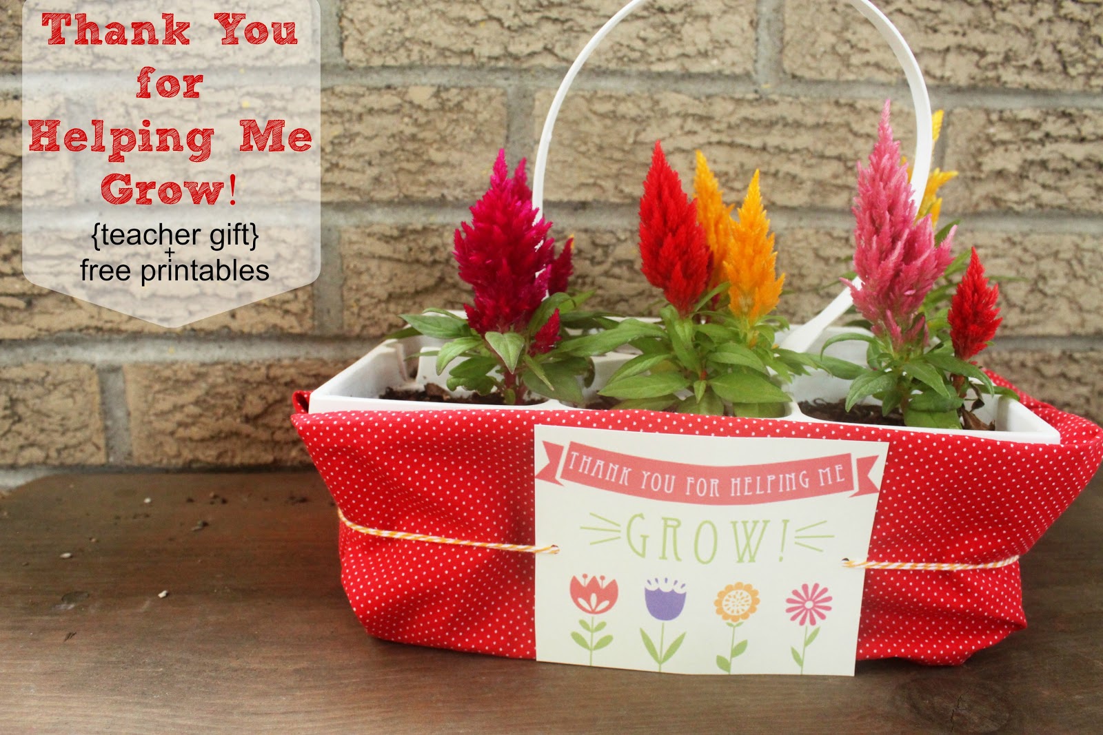 EAT SLEEP MAKE Thank You For Helping Me Grow Printables Teacher Gift eat-sleep-make-thank-you-for-helping-me-grow-printables-teacher-gift